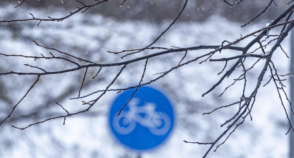    Konstantin Kokoshkin / www.globallookpress.com