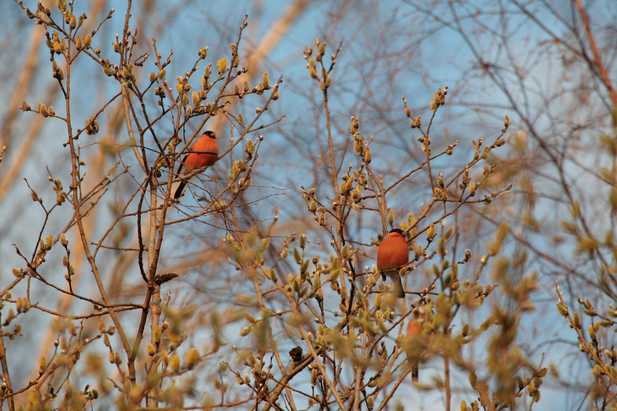 Konstantin Mikhailov/Russian Look/Globallookpress