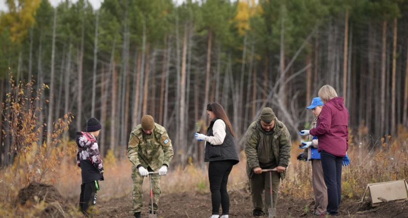    Иркутская область вошла в пятерку лидеров всероссийской акции "Сохраним лес"