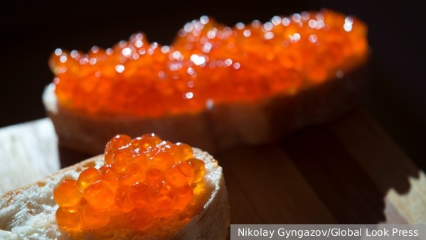     Фото: Nikolay Gyngazov/Global Look Press   
 Текст: Катерина Туманова