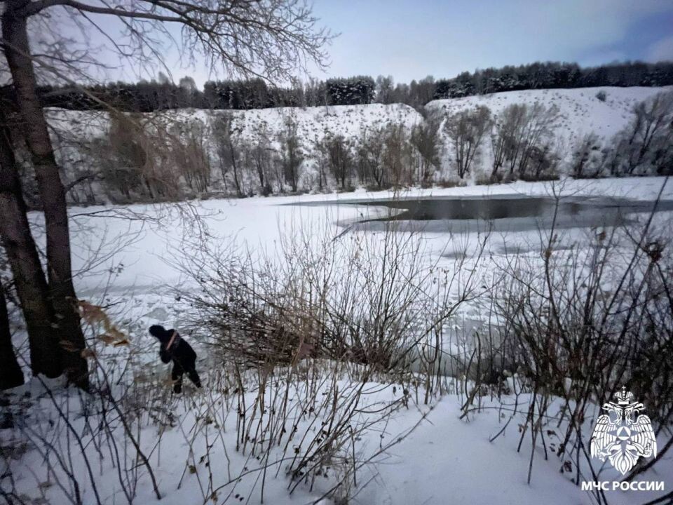    Место происшествия. Источник: ГУ МЧС по Новосибирской области