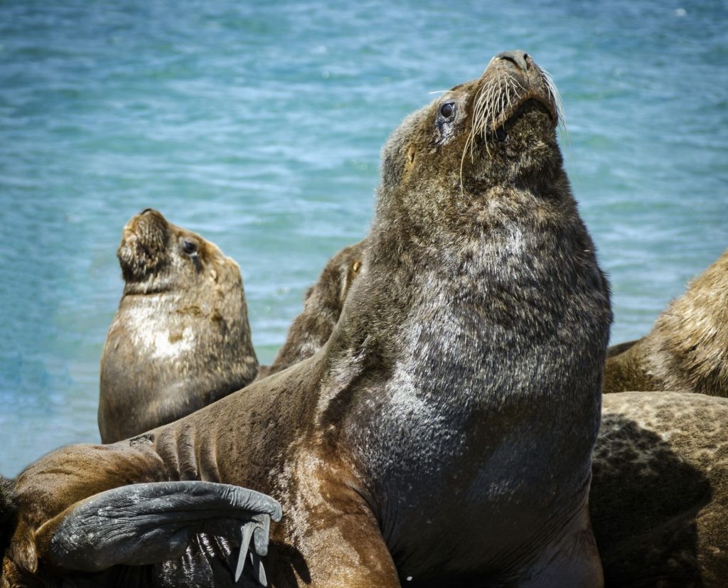    Фото: freepik.com Редактор