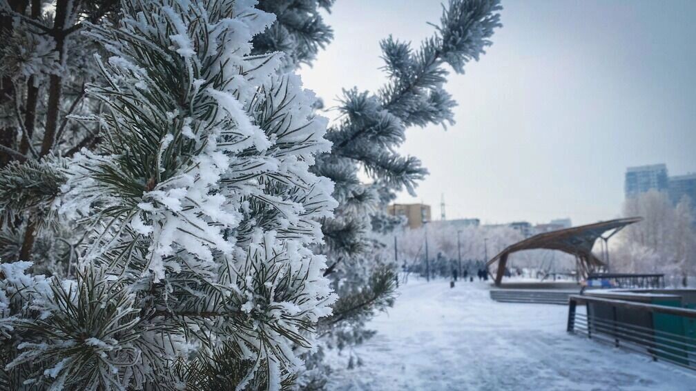 В Москве и Подмосковье декабрь будет теплым, возможны оттепели с мокрым снегом и дождем. Фото: 1MI