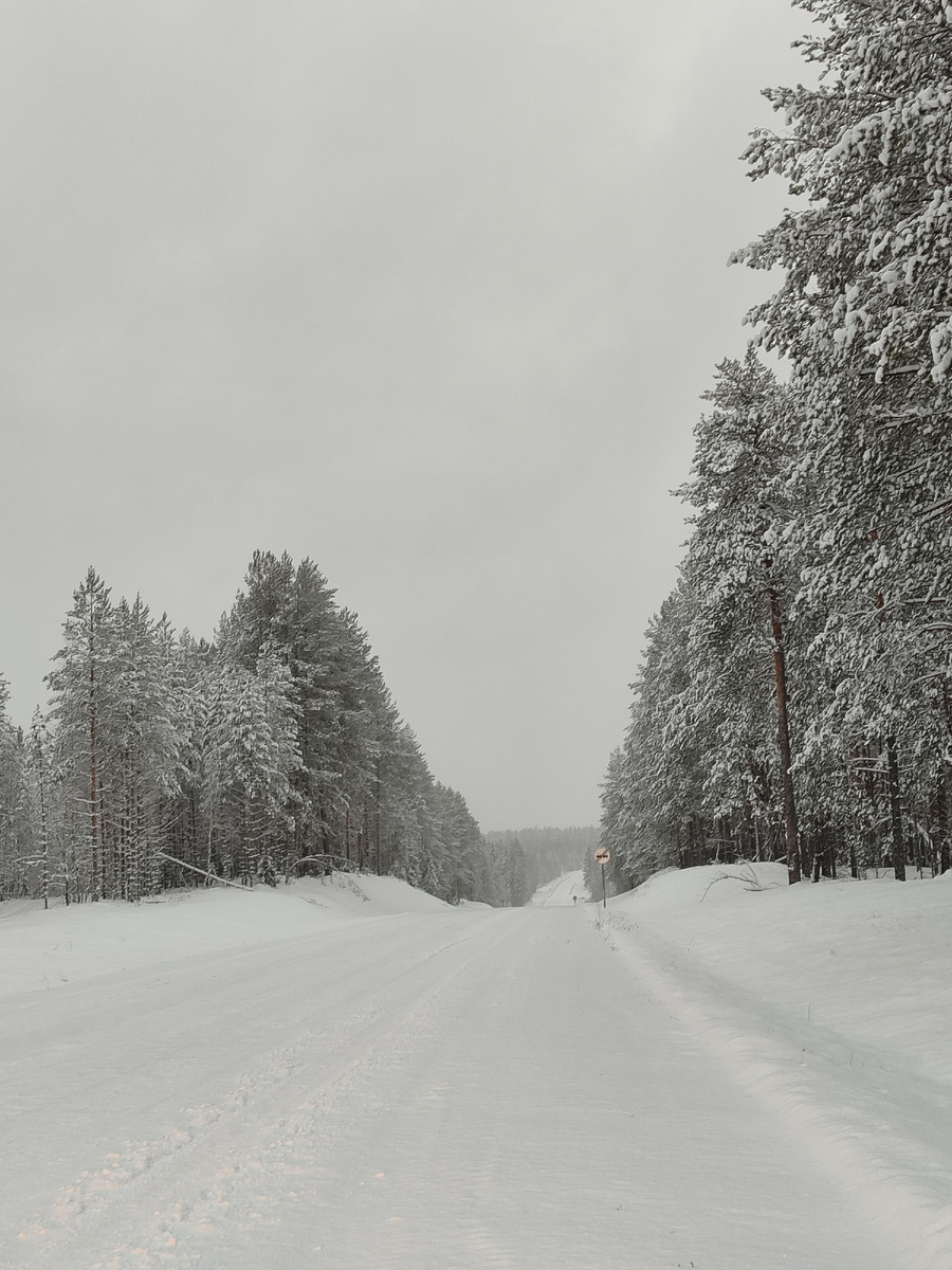 Зима. Но за ней обязательно будет весна. Надо всегда надеяться на лучшее.
