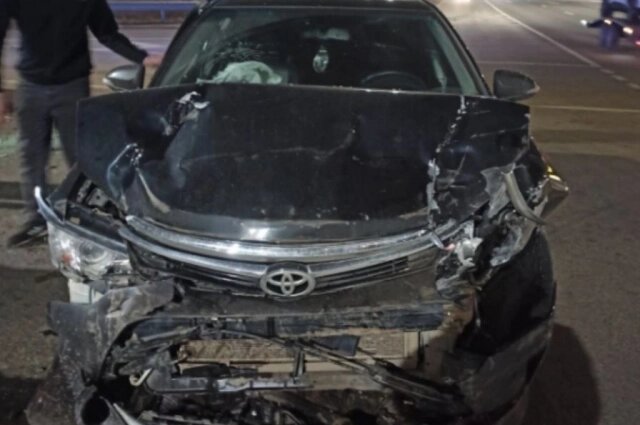    Фото: УМВД по Оренбургской области