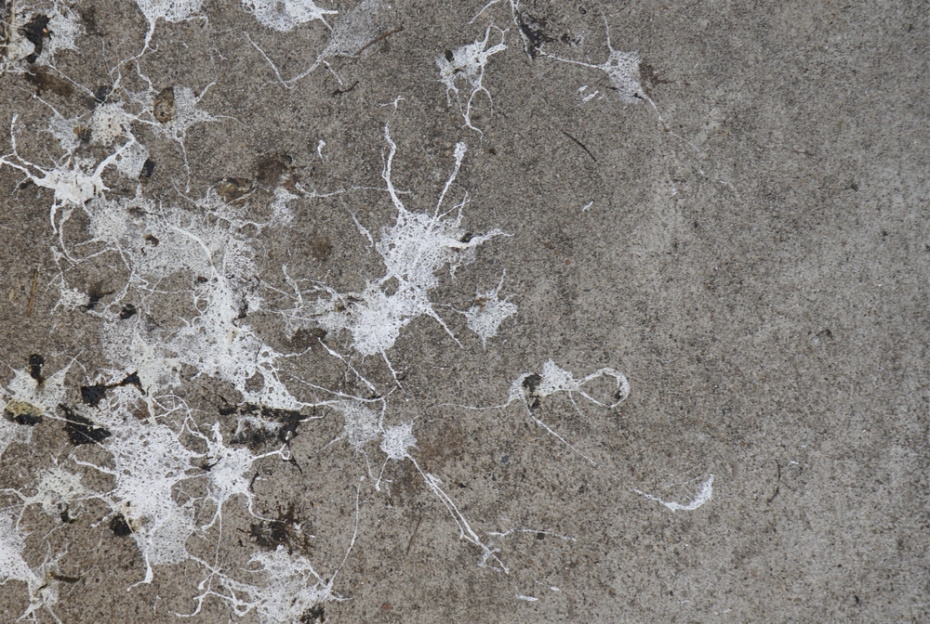    Shutterstock/FOTODOM