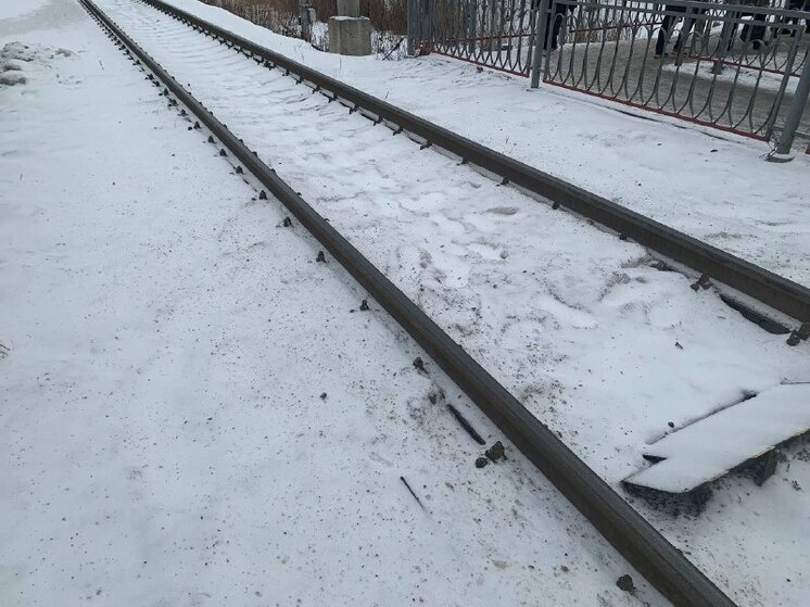     Фото: Архив МК в Питере.