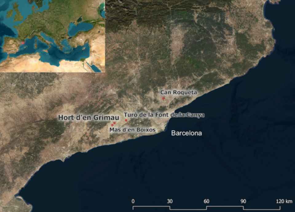   Silvia Albizuri et al. / Journal of Archaeological Science: Reports, 2026