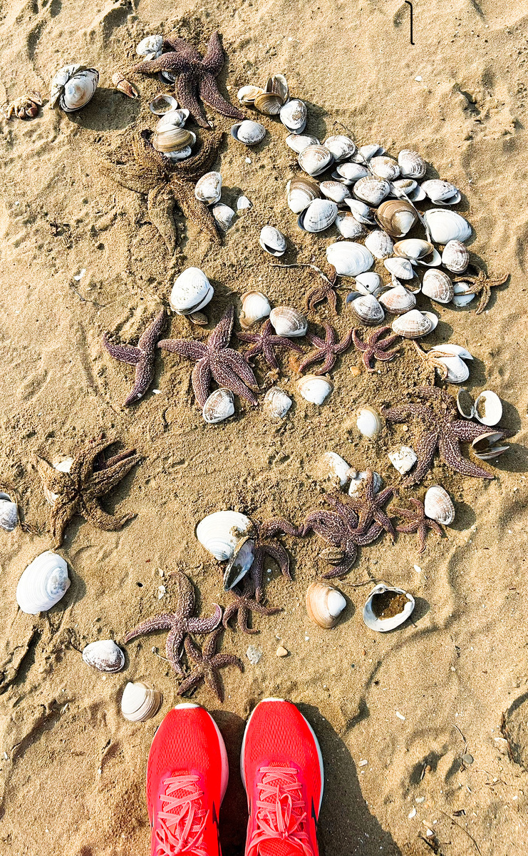 Фото с моей одинокой прогулки три недели назад