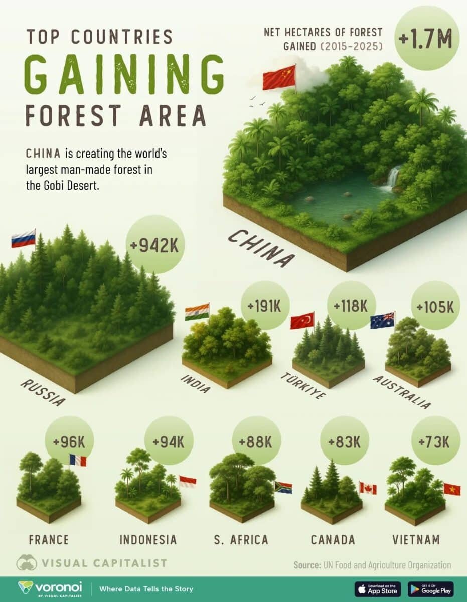    Инфографика: страны — лидеры по приросту лесов за последние 10 лет / © Visual Capitalist