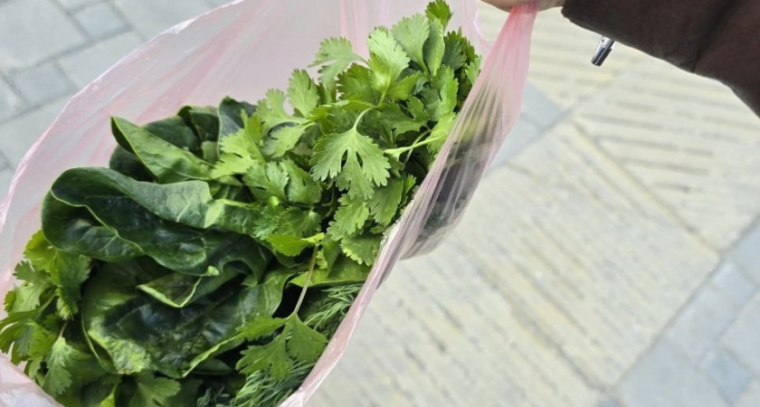    Зелень останется такой же свежей почти месяц: трюк из элитных ресторанов