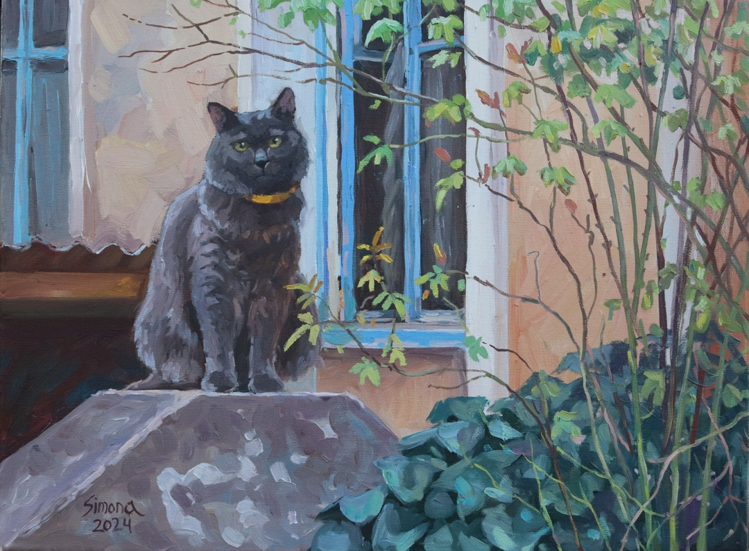 , 2024 .   :    https://vk.com/club215474896 