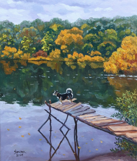     :    https://vk.com/club215474896 