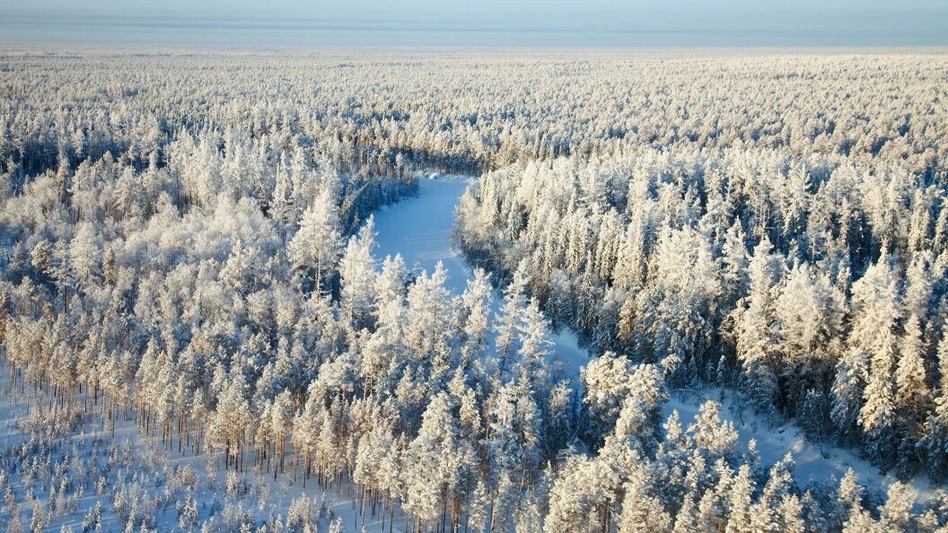    Vladimir Melnikov/Russian Look/Globallookpress