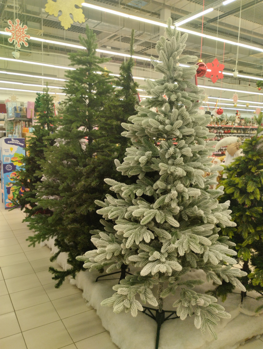 Ёлки в Европе 