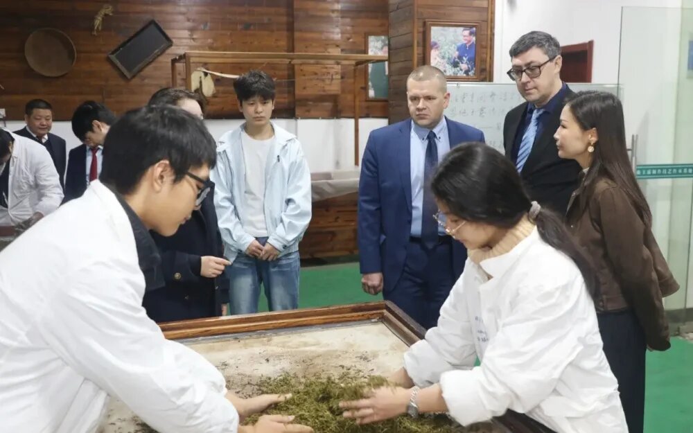    Фото: БГИТУ