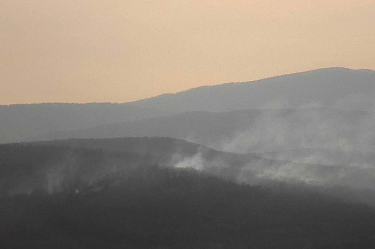    Фото t.me/mpr_kk