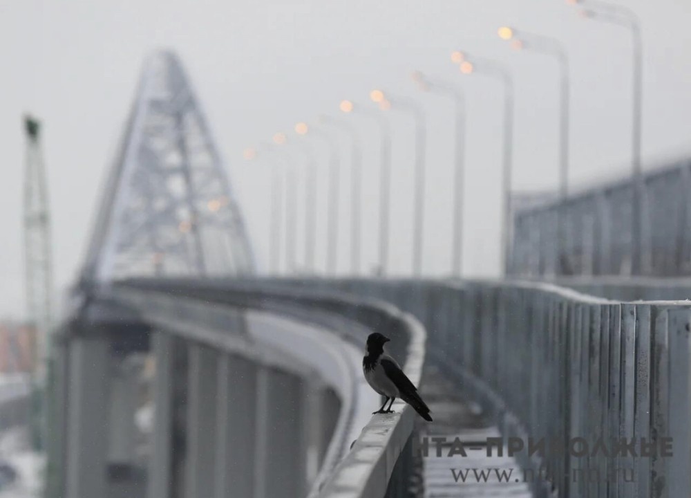    Народные приметы: 24 ноября