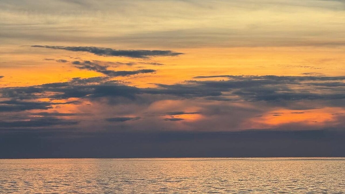    Фото: телеканал «Краснодар»