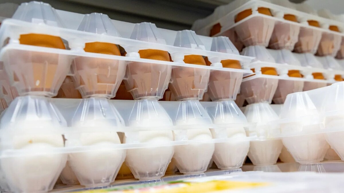    Фото: Андрей Ткачев / «Ямал-Медиа»