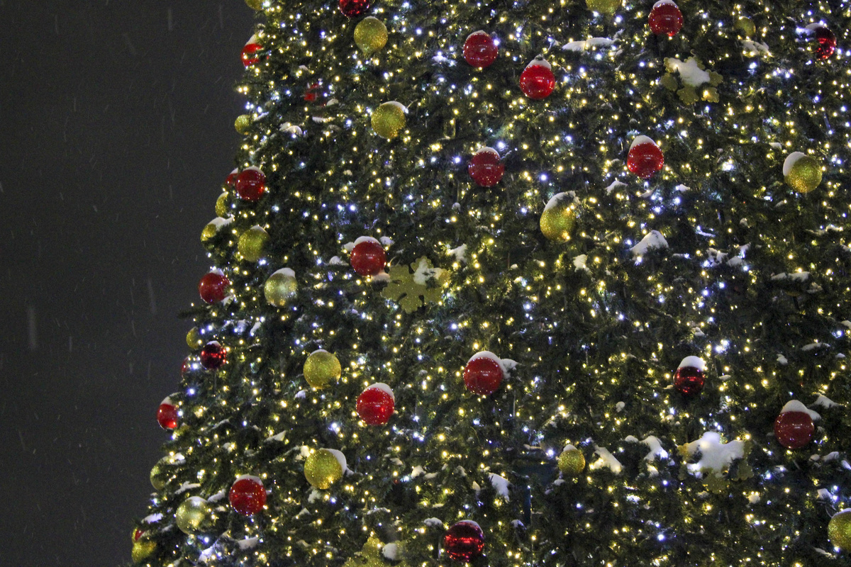 Хабаровск начали украшать к Новому году.  Фото: Фото: ФедералПресс / Ксения Кобалия