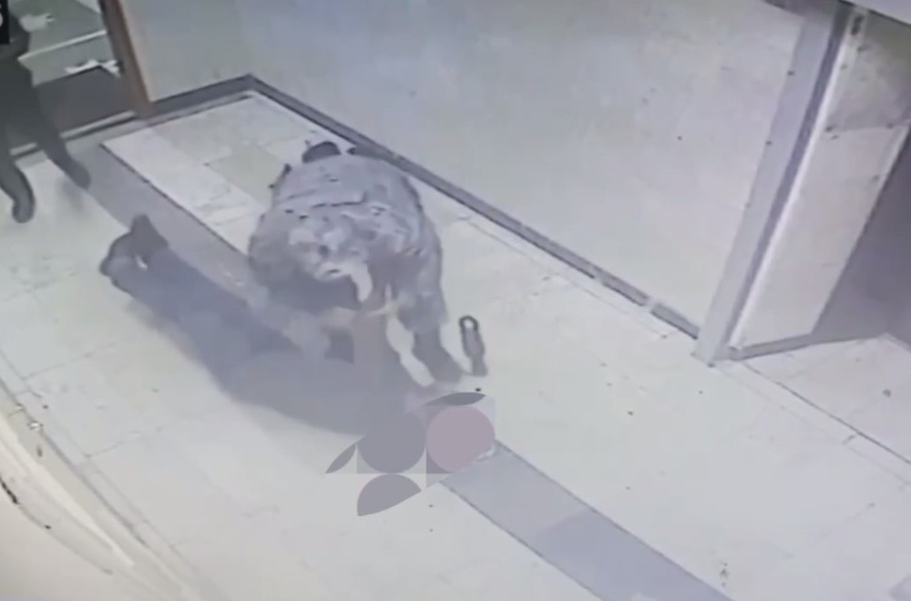     Фото: ФССП по Свердловской области