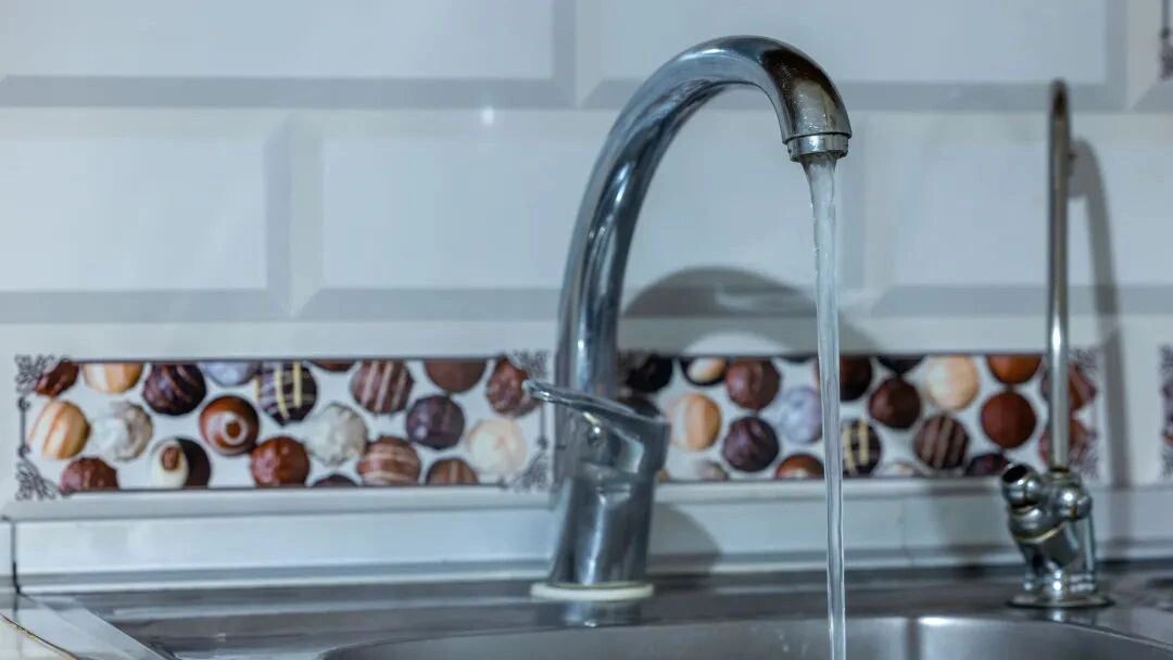    Фото: Федор Воронов/«Ямал-Медиа»