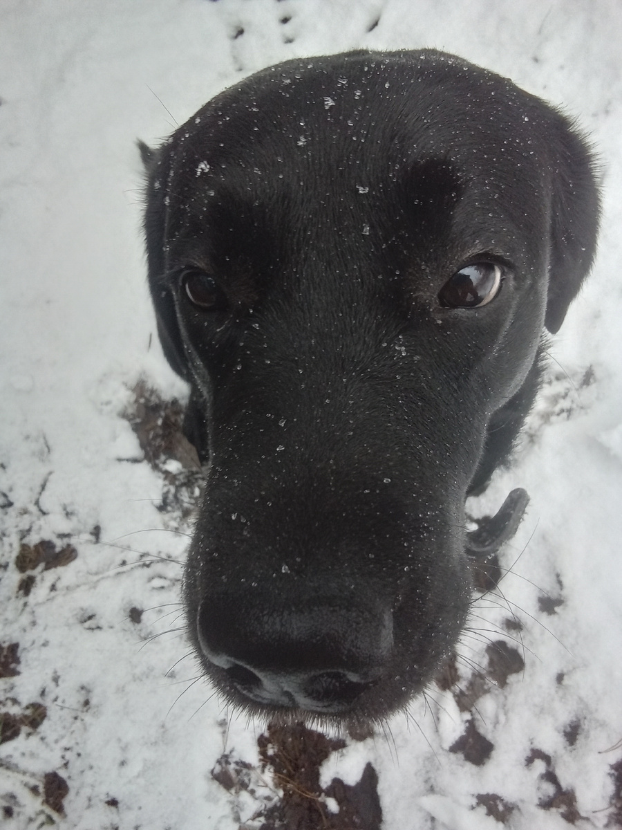 Фото автора.