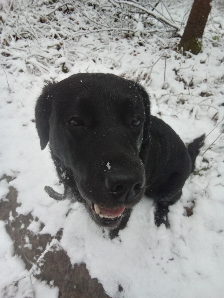 Фото автора. 