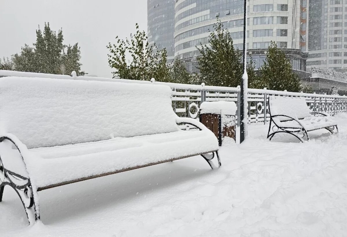    В Новосибирской области 700 детей не доехали до школ из-за снегопадов