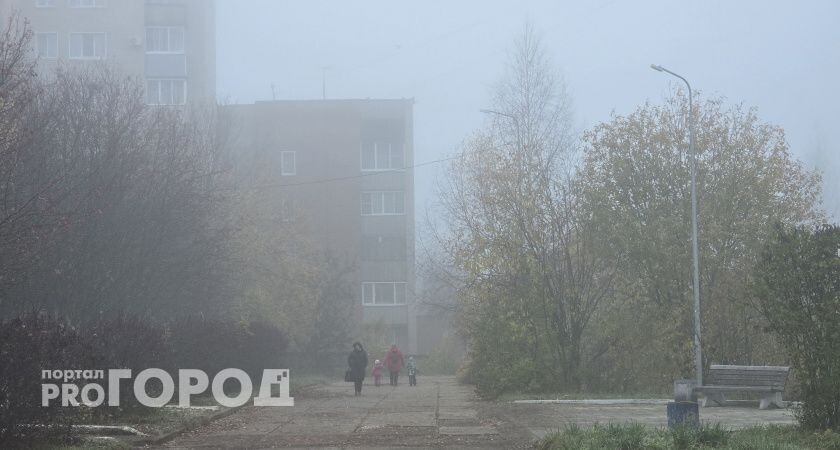    Туман вновь стал причиной желтого уровня опасности в Волгоградской области