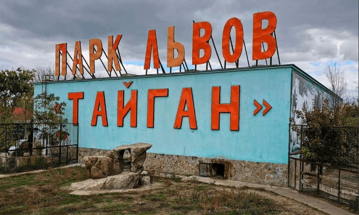    Фото t.me/taigancafari