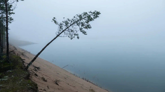 Фото: Александр Дрозденко/telegram