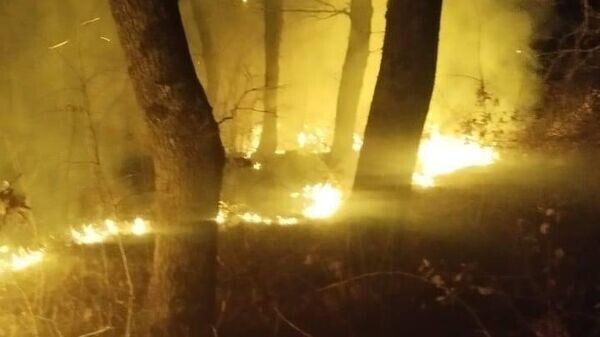    © Photo : Пресс-служба МЧС РЮО