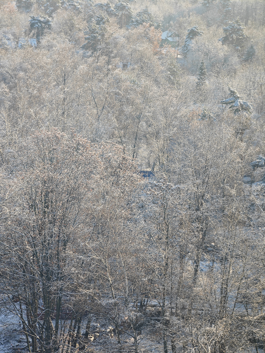 Фото автора канала 