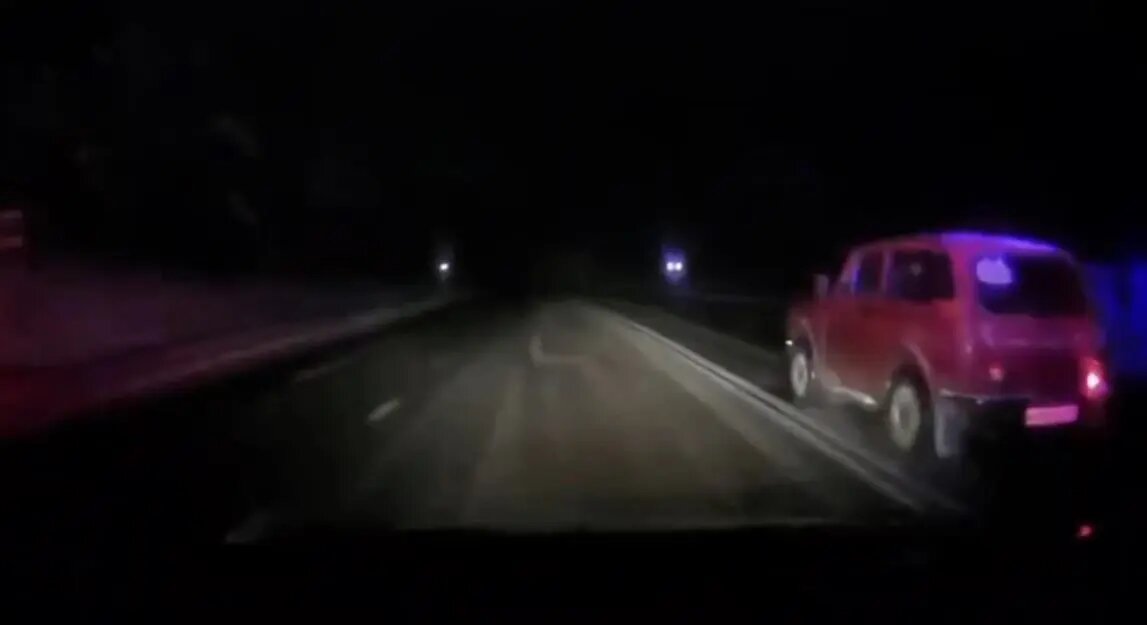    Фото: кадр видео ГУ МВД по Петербургу и Ленобласти