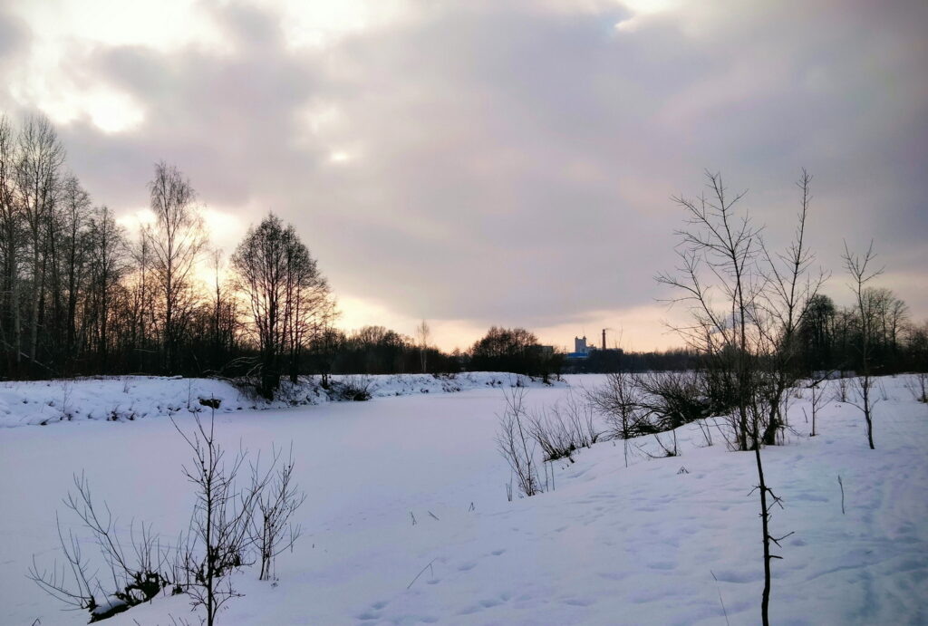    Анастасия Петрова