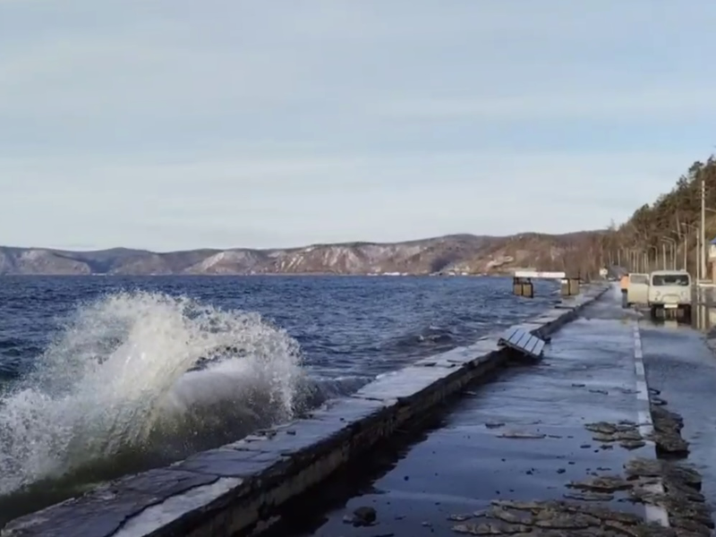 © Фото: t.me/irkdtp