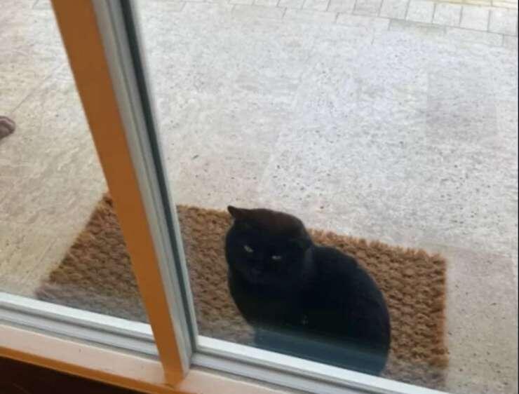    Фото: телеграм-канал Маргариты Симоньян