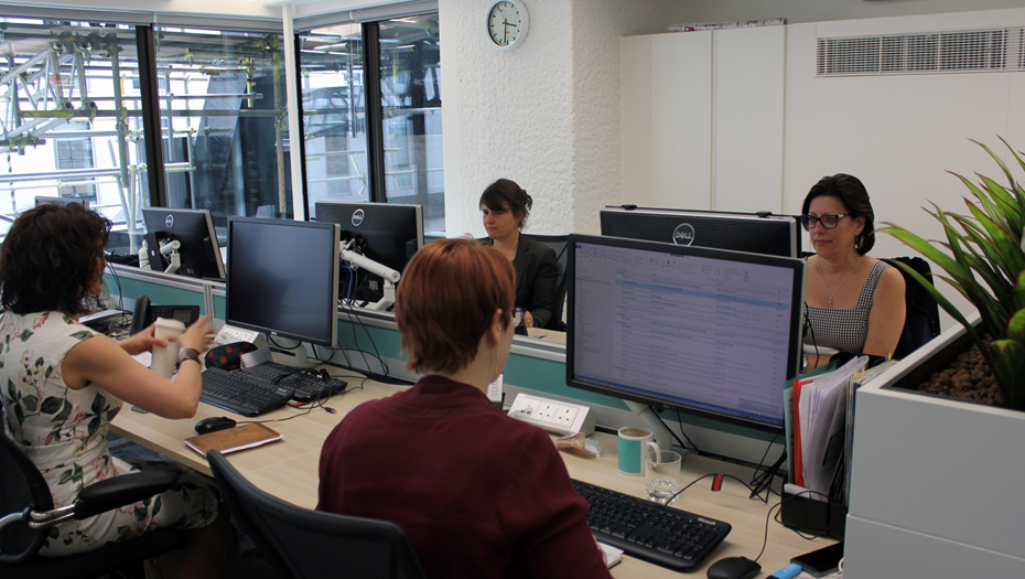    Автор фото: Кристина Сулима/ ТАСС