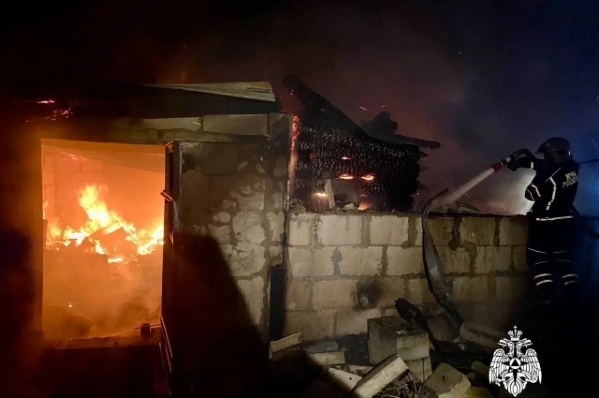    В деревне Тверской области во время пожара погибли два человека