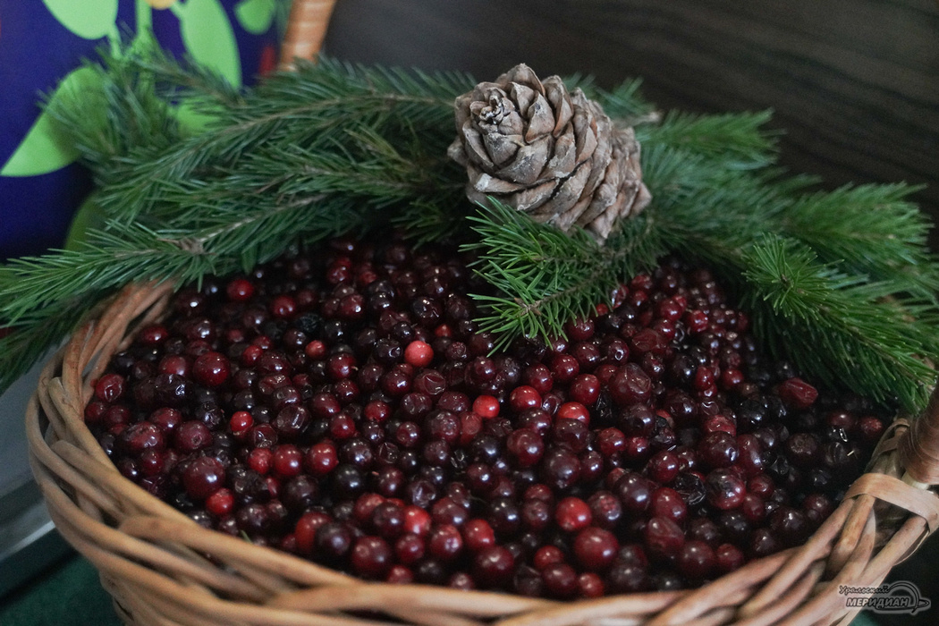    Фото: Лидия Аникина © ИА «Уральский меридиан»