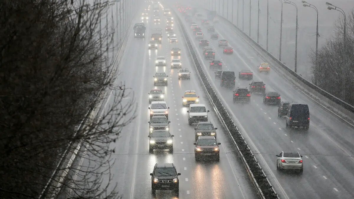    Фото: vm.ru Мария Михайлова