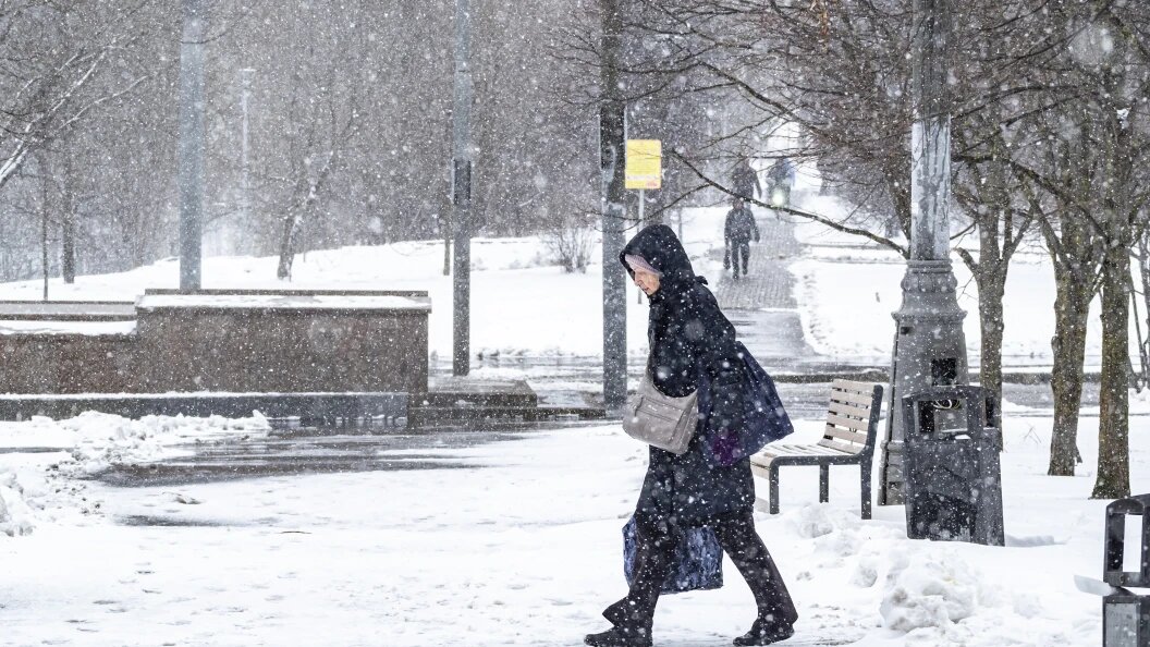    Фото: Konstantin Kokoshkin /Globallookpress