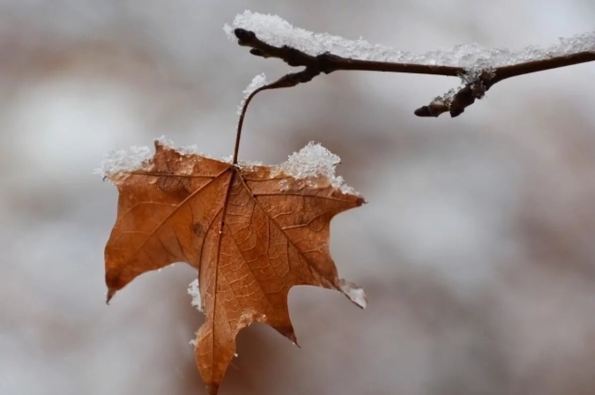    До -6 градусов прогнозируется в Псковской области 24 ноября