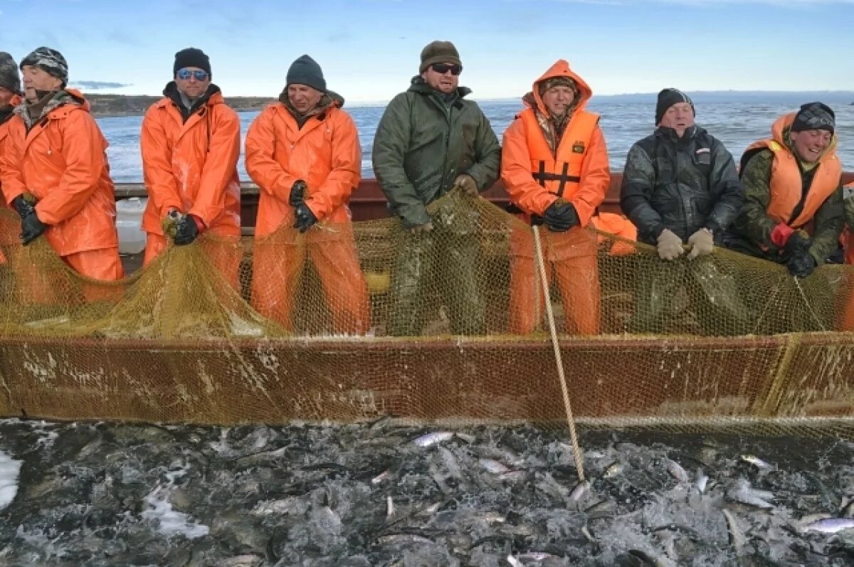    Рыбколхоз им. Ленина наказан за несчастный случай с камчатским матросом