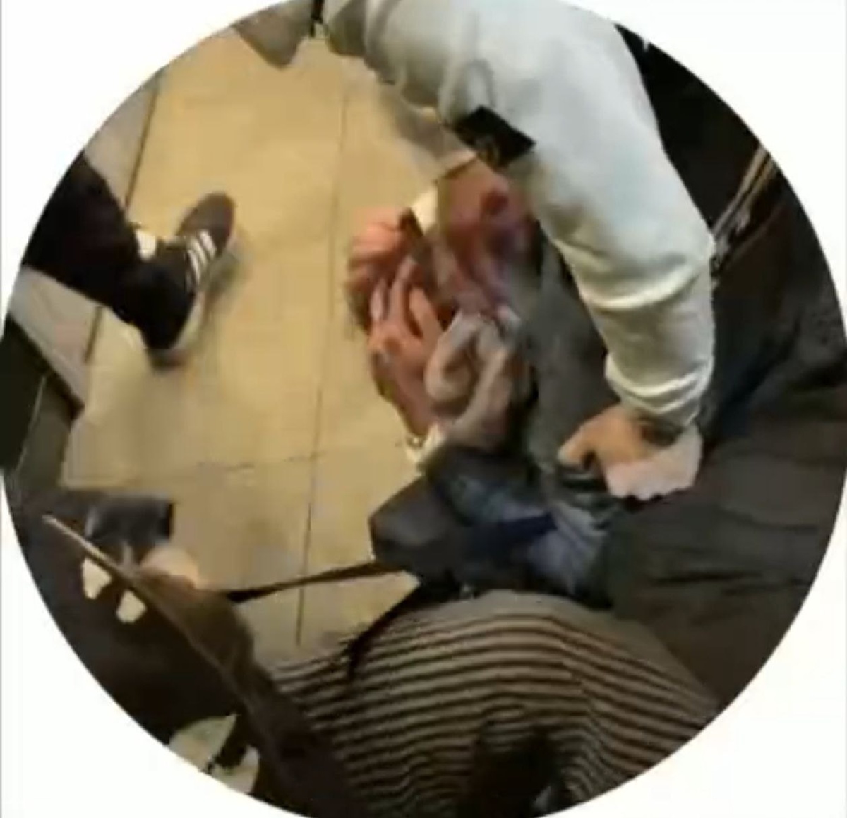    фото: © Telegram-канал Карелии