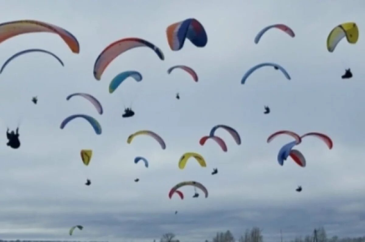    Парапланеристы поделились эффектными фотографиями.