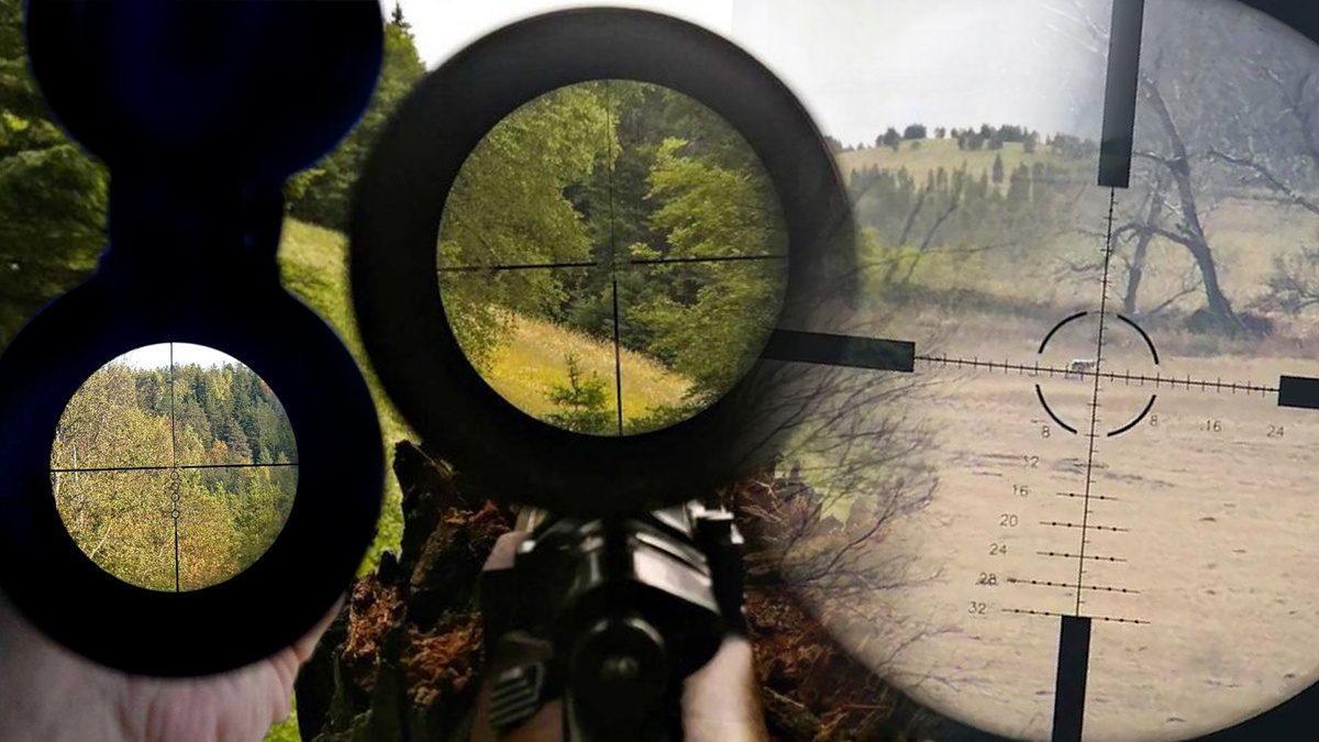 Фото: Прицельные сетки; коллаж Российский союз инженеров