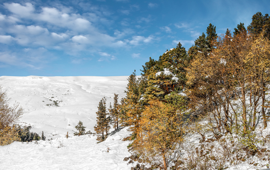 Зимний лес в горах, Республика Адыгея © виктор химич / Фотобанк Лори